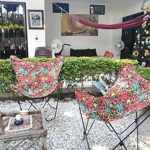 Homestay Moreli, Papare